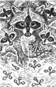 Tess Garman - 10 of Clubs - ring-tailed lemur