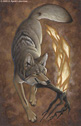 H. Kyoht Luterman - 10 of Diamonds - coyote