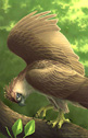 Jennifer Miller - 2 of Diamonds - philippine eagle