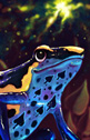 Trisha Wilson - 6 of Spades - poison arrow frog