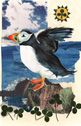 Janet Robinson - 7 of Clubs - puffin