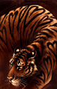 Tess Garman - 7 of Hearts - bengal tiger