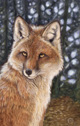 Dark Natasha - 8 of Clubs - red fox