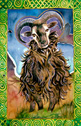 Janet Robinson - Ace of Hearts - soay sheep