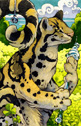 Amara Telgemeier - Jack of Clubs - clouded leopard