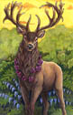 Sara Palmer - King of Hearts - red deer (hart)