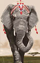 David W. James - Queen of Diamonds - elephant